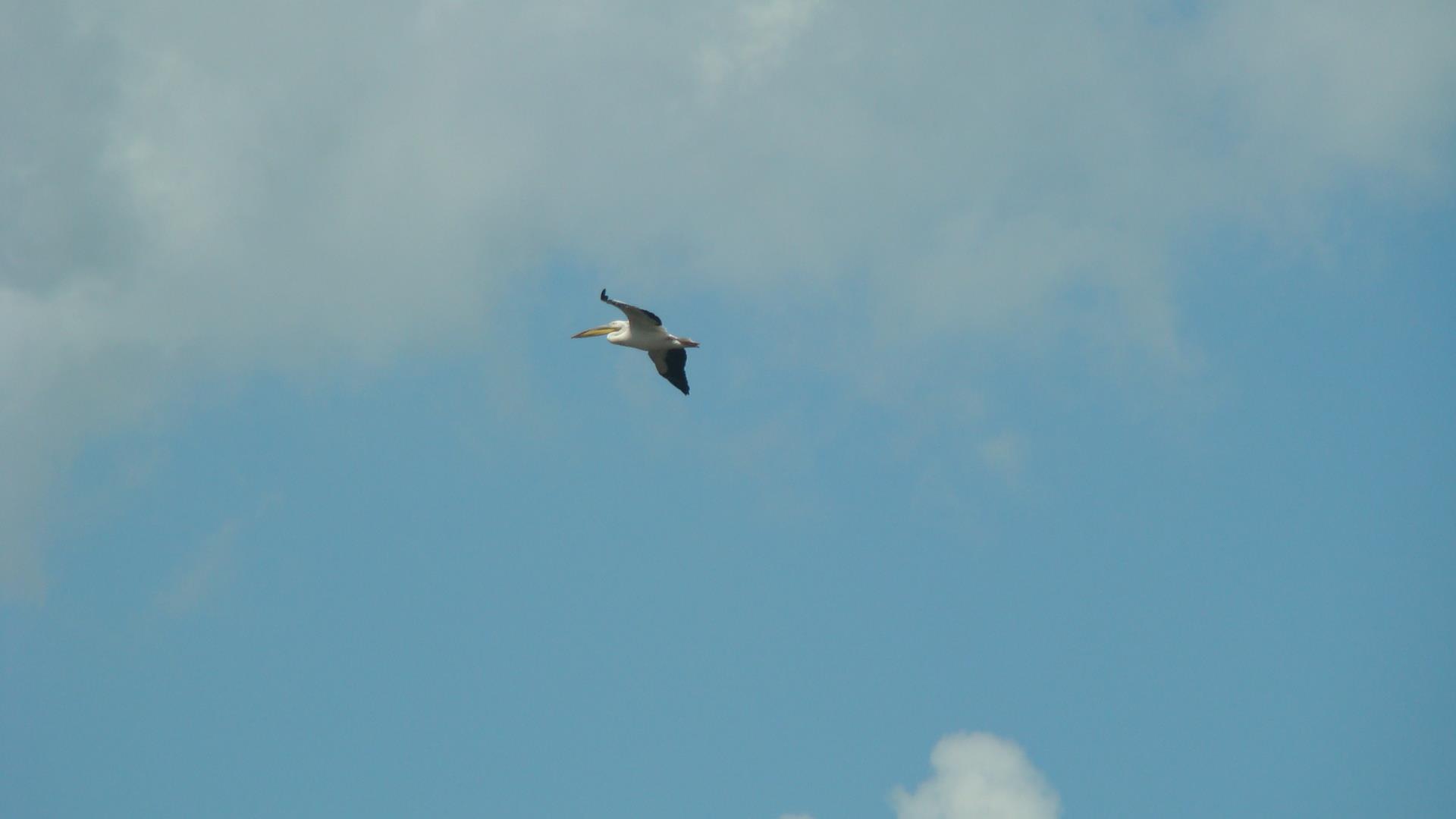 Blasova Mai 2013 - dsc02595.JPG